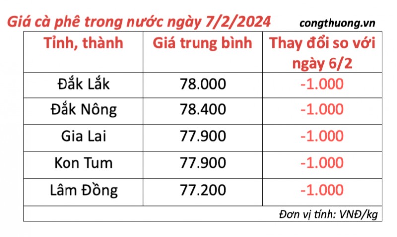 Giá cà phê hôm nay; ngày 7/2/2024: Giá cà phê trong nước