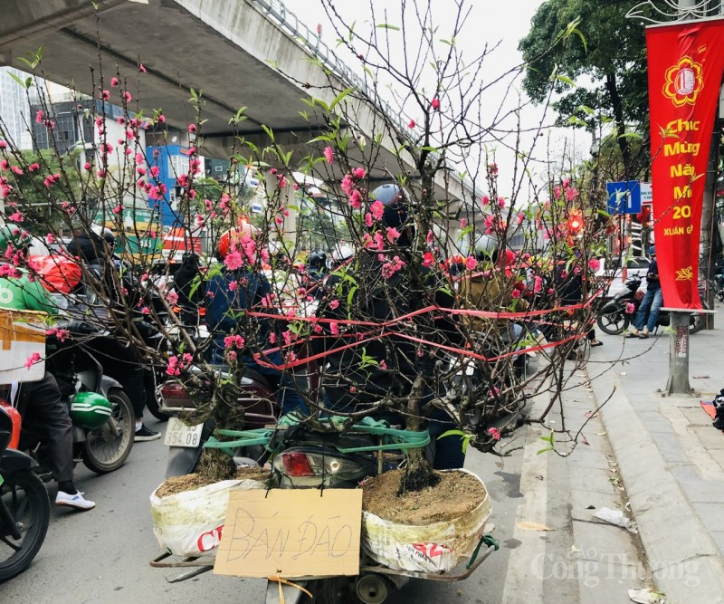 Thị trường hoa Tết: Người mua thì ít, người ngắm thì nhiều Thị trường hoa Tết: Người mua thì ít, người ngắm thì nhiều