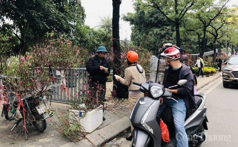 Thị trường hoa Tết: Người mua thì ít, người ngắm thì nhiều Thị trường hoa Tết: Người mua thì ít, người ngắm thì nhiều