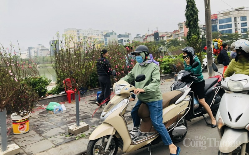 Thị trường hoa Tết: Người mua thì ít, người ngắm thì nhiều Thị trường hoa Tết: Người mua thì ít, người ngắm thì nhiều