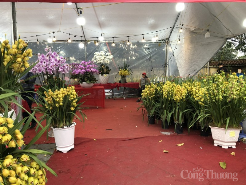 Thị trường hoa Tết: Người mua thì ít, người ngắm thì nhiều Thị trường hoa Tết: Người mua thì ít, người ngắm thì nhiều