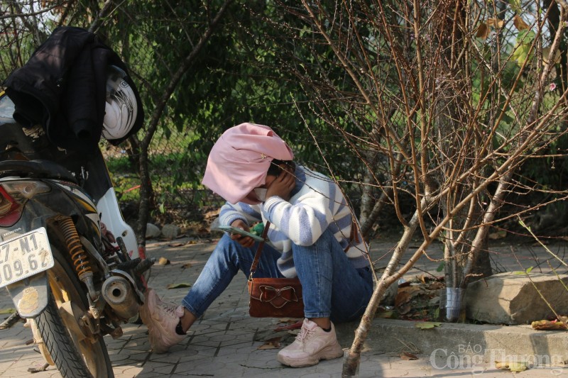 Điện Biên: La liệt đào rừng không có người mua