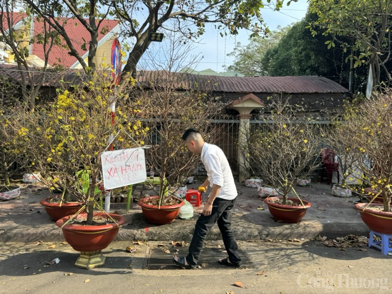 Đắk Lắk: Chợ hoa Xuân đìu hiu, tiểu thương giảm giá sâu vẫn ít khách mua