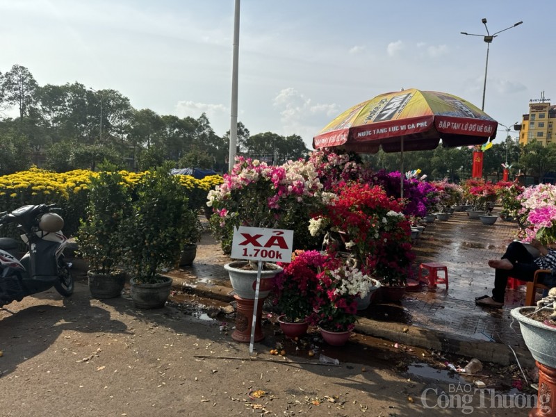 Đắk Lắk: Chợ hoa Xuân đìu hiu, tiểu thương giảm giá sâu vẫn ít khách mua