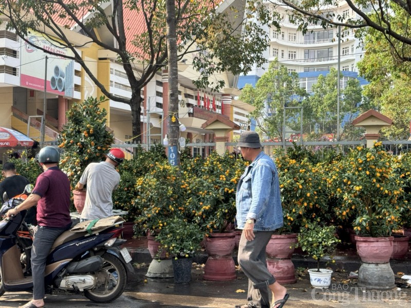 Đắk Lắk: Chợ hoa Xuân đìu hiu, tiểu thương giảm giá sâu vẫn ít khách mua