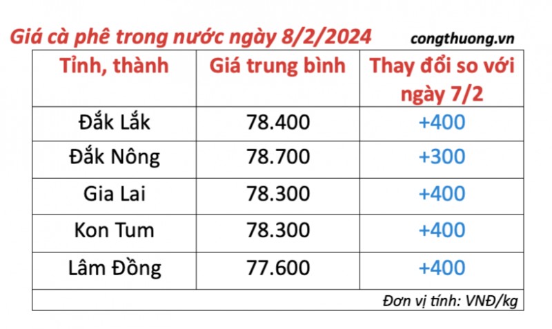 Giá cà phê hôm nay; ngày 8/2/2024: Giá cà phê trong nước