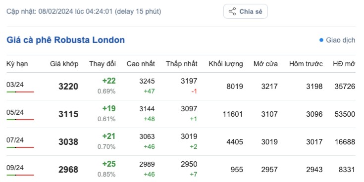 Giá cà phê hôm nay; ngày 8/2/2024: Giá cà phê trong nước