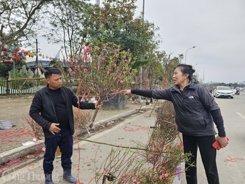 Hà Nội: Mới 29 Tết tiểu thương đã phá cây vì… xả lỗ vẫn ế khách