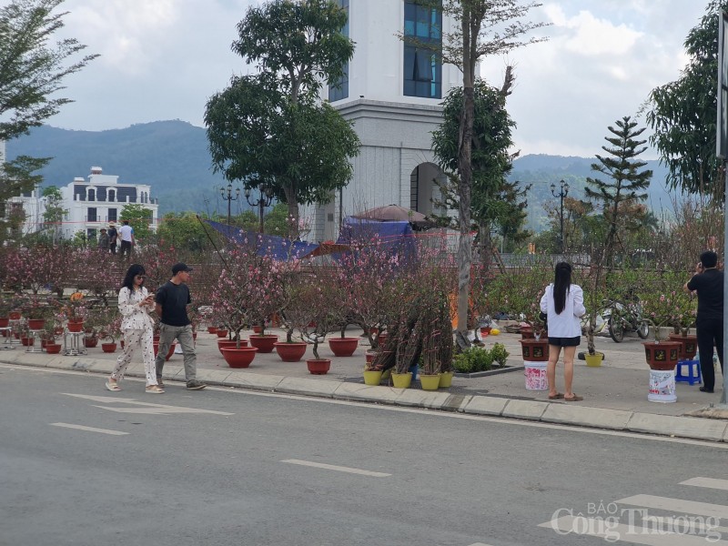 Hòa Bình: Hoa cây cảnh ngày 29 Tết, giá rẻ, mua nhanh bán nhanh