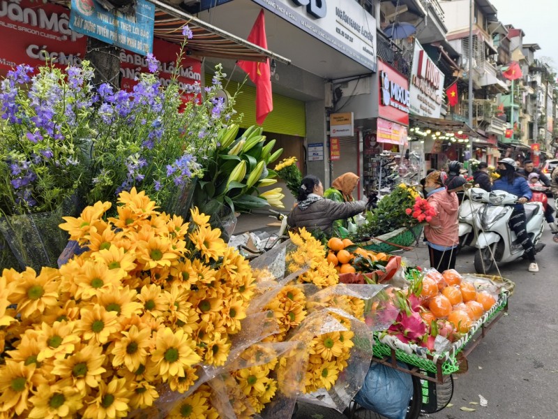 Tết đang gõ cửa, xuân đã tràn mọi nẻo