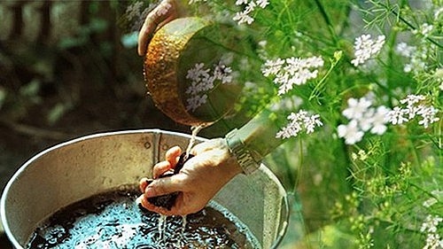 Theo quan niệm dân gian, khi tắm thứ nước lá mùi này, mọi vận đen đủi, buồn phiền lo lắng trong năm cũ được gột bỏ