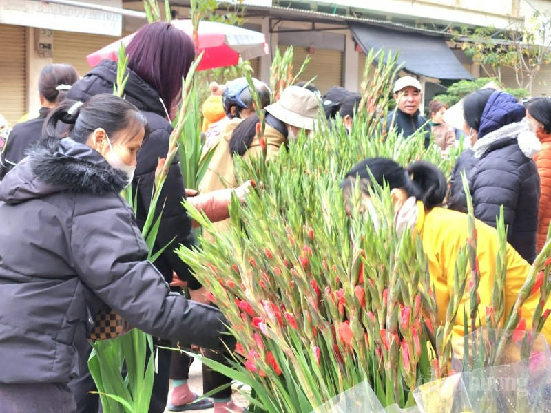 Phiên chợ Tết cuối năm ở Phủ Lạng Giang