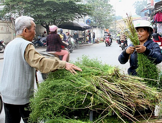 Phong tục Tết xưa: “Tắm tất niên” với cây mùi già