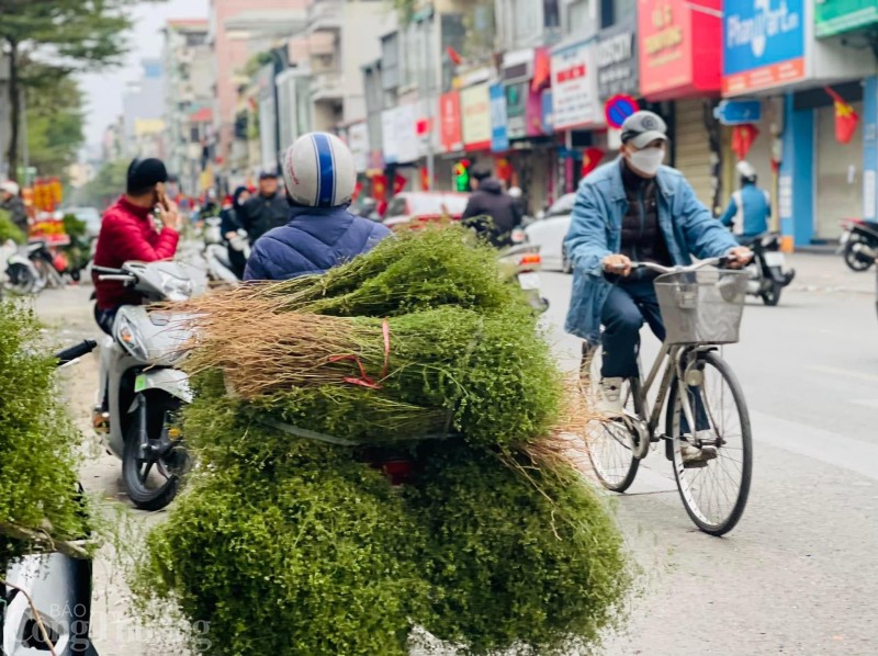 Mùi già xuống phố thơm dịu chiều 30 Tết