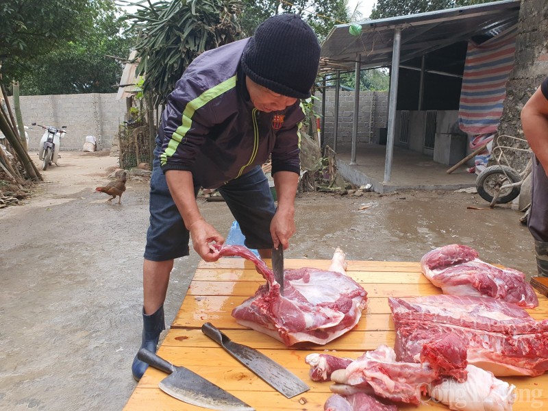 Hòa Bình: “Đụng lợn Tết”, nét đẹp cổ truyền của bà con xứ Mường