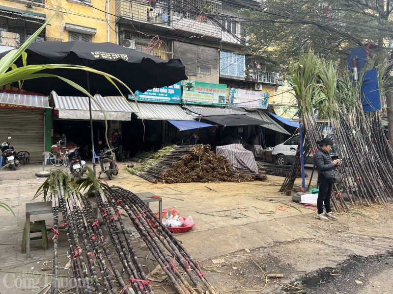 Những cây mía lộc “đổ bộ” xuống phố chờ đón giao thừa