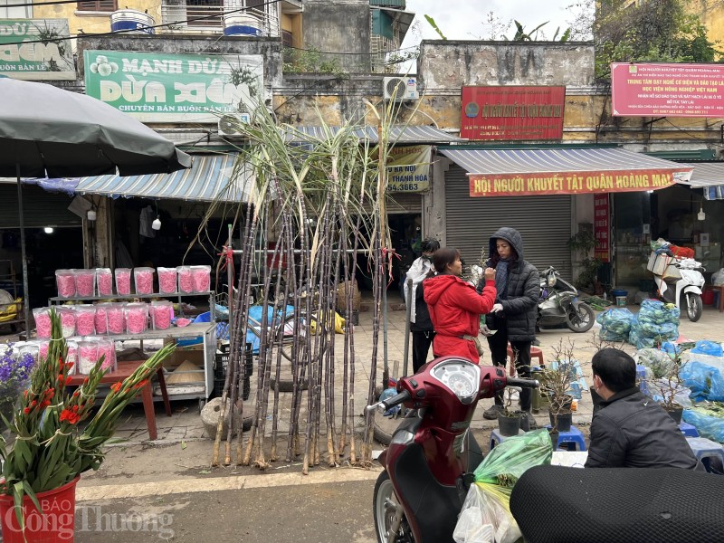 Những cây mía lộc “đổ bộ” xuống phố chờ đón giao thừa