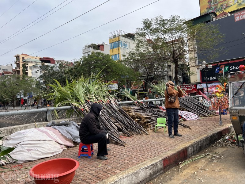 Những cây mía lộc “đổ bộ” xuống phố chờ đón giao thừa