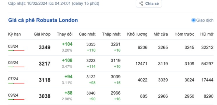 Giá cà phê hôm nay; ngày 10/2/2024: Giá cà phê trong nước