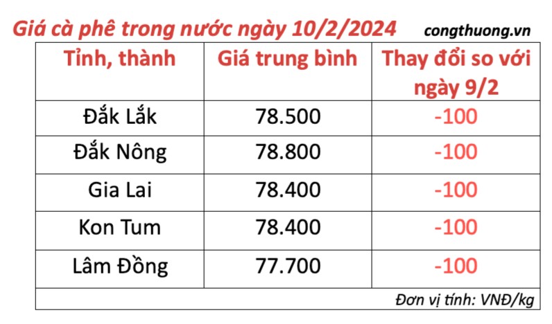 Giá cà phê hôm nay; ngày 10/2/2024: Giá cà phê trong nước