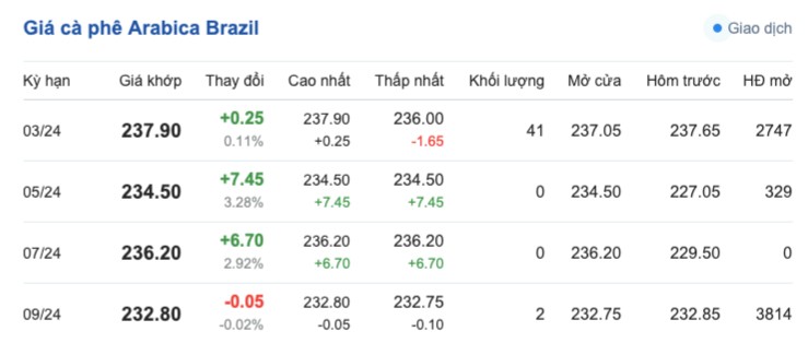Giá cà phê hôm nay; ngày 11/2/2024: Giá cà phê trong nước
