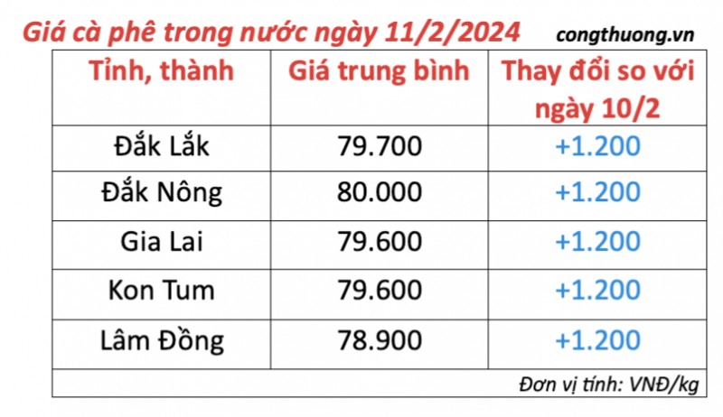 Giá cà phê hôm nay; ngày 11/2/2024: Giá cà phê trong nước