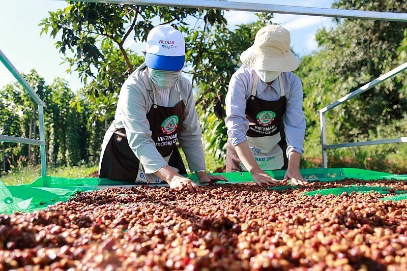 Tiêu điểm kinh tế tuần qua: Hàng không tổ chức các chuyến bay “xông đất” đầu năm