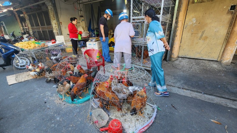 TP. Hồ Chí Minh: Chợ, siêu thị vắng khách trong ngày mùng 3 Tết