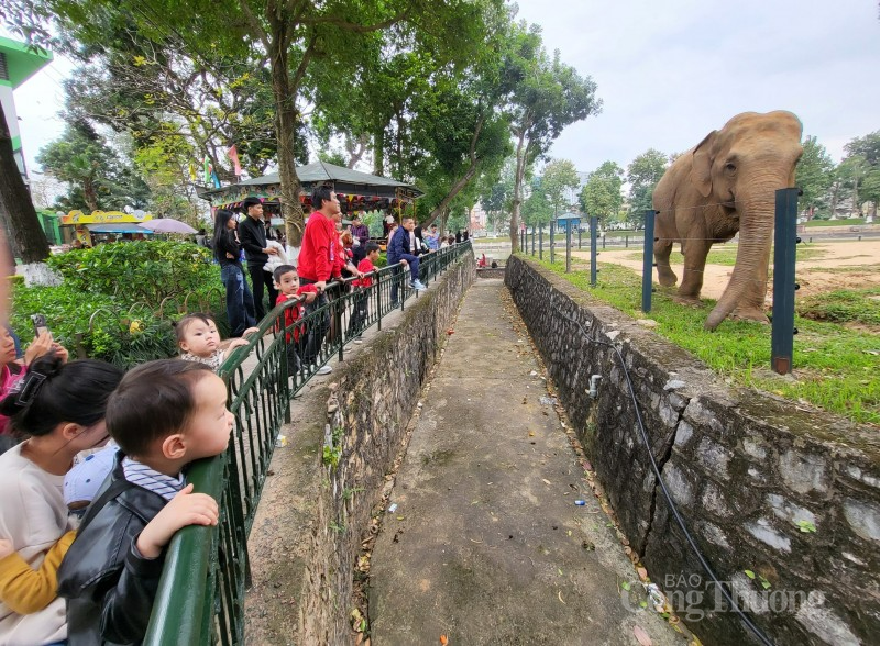 Công viên Thủ Lệ đông nghịt người ngày cuối kỳ nghỉ Tết Nguyên đán