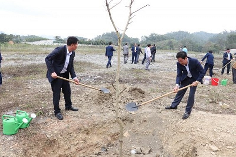 Thanh Hóa: Phấn đấu trồng 3 triệu cây xanh dịp Tết Nguyên đán Giáp Thìn năm 2024