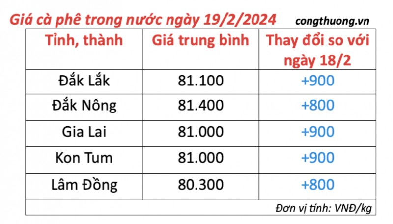 Giá cà phê hôm nay, 19/2/2024: Giá cà phê trong nước