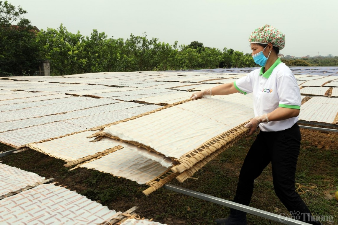 Mỳ Chũ Lục Ngạn “gõ cửa” thị trường khó tính