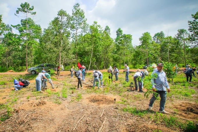 Hoạt động trồng cây trên địa bàn tỉnh Đồng Nai năm 2023