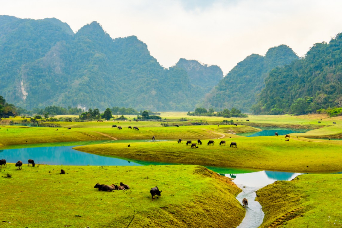 Lạng Sơn: Công bố Giấy chứng nhận nhãn hiệu “Du lịch Đồng Lâm – Hữu Liên”