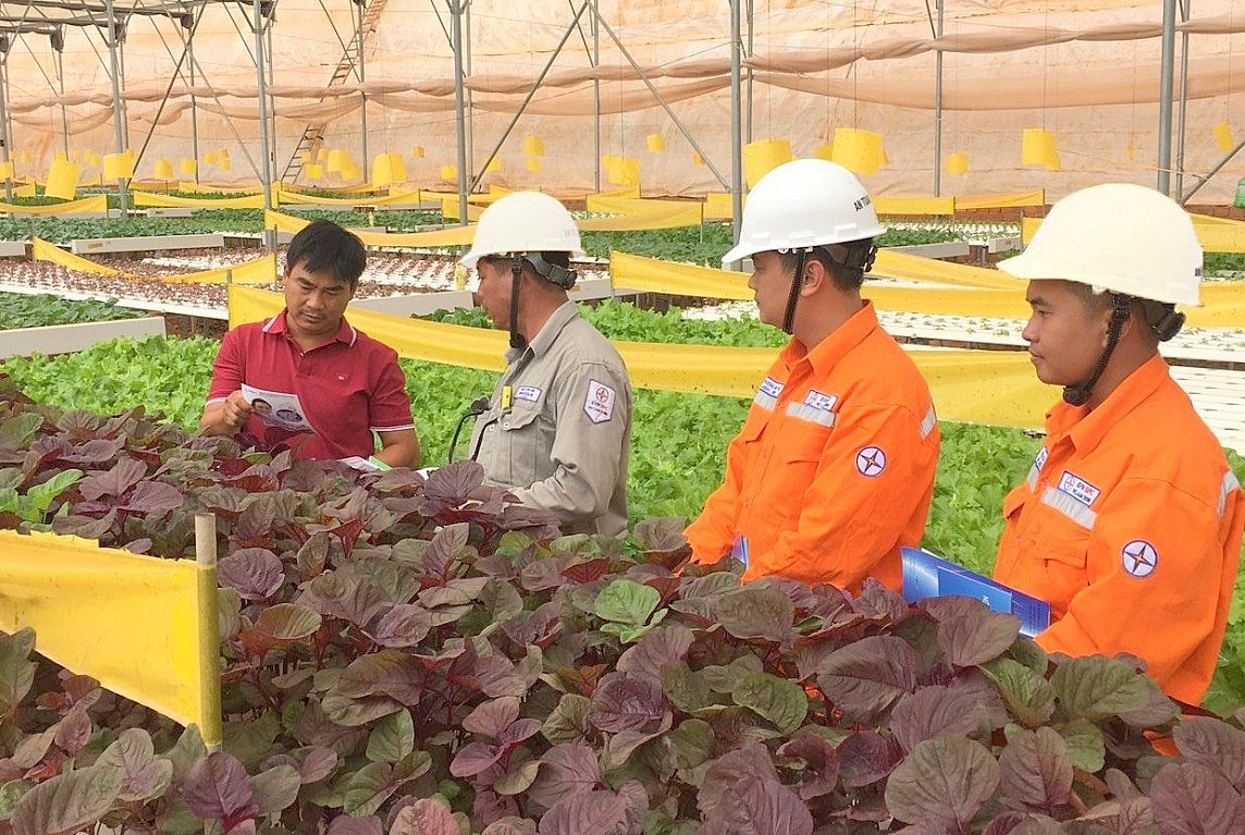 Đảm bảo cung cấp điện mùa khô năm 2024 tại các tỉnh thành phía Nam