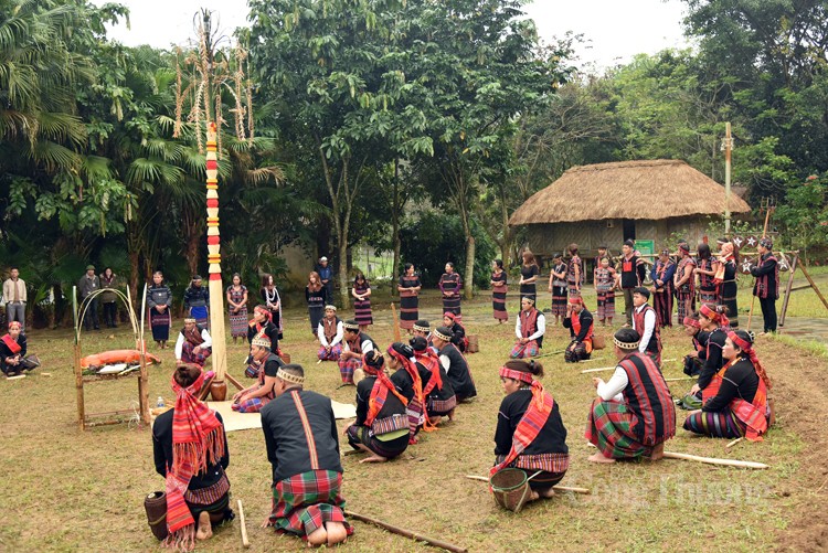 Trải nghiệm Lễ hội trỉa lúa của người Bru - Vân Kiều tại Hà Nội