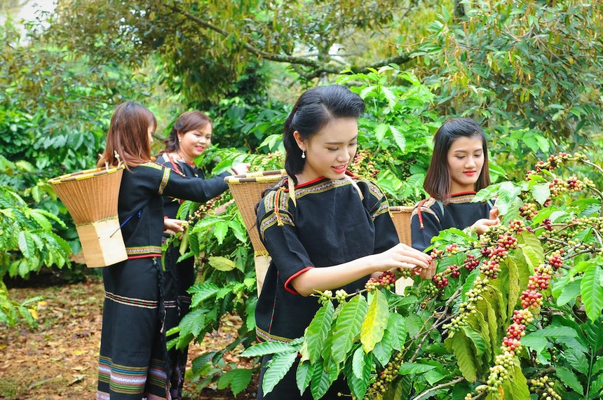 Tìm giải pháp hút vốn FDI cho Tây Nguyên