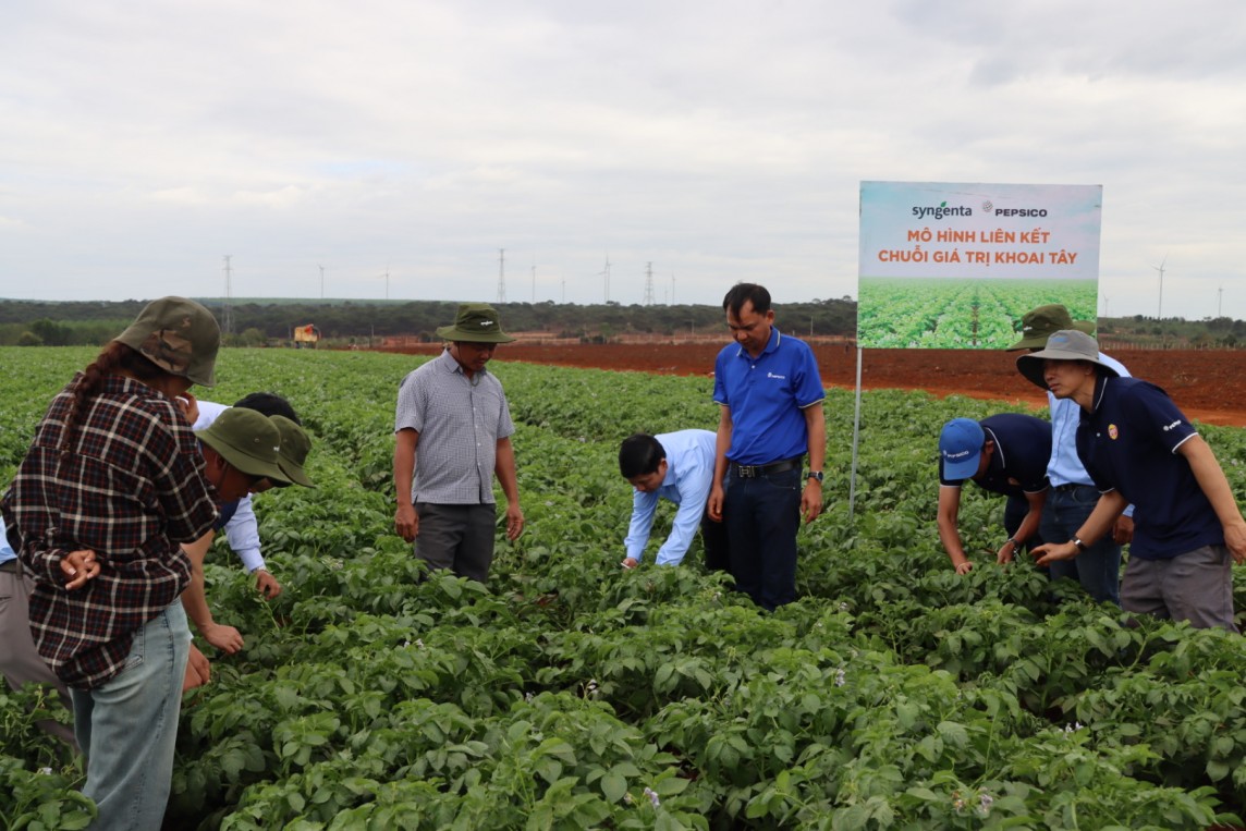 Thúc đẩy nông nghiệp xanh, phát triển bền vững chuỗi rau quả