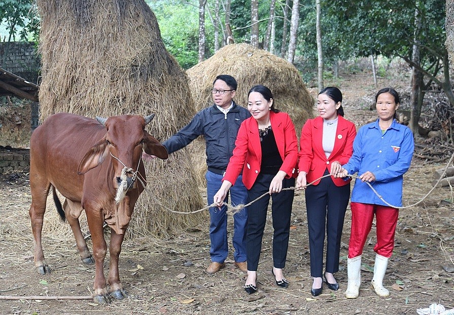 Thanh Hóa: Nỗ lực giảm nghèo bền vững, để không ai bị bỏ lại phía sau