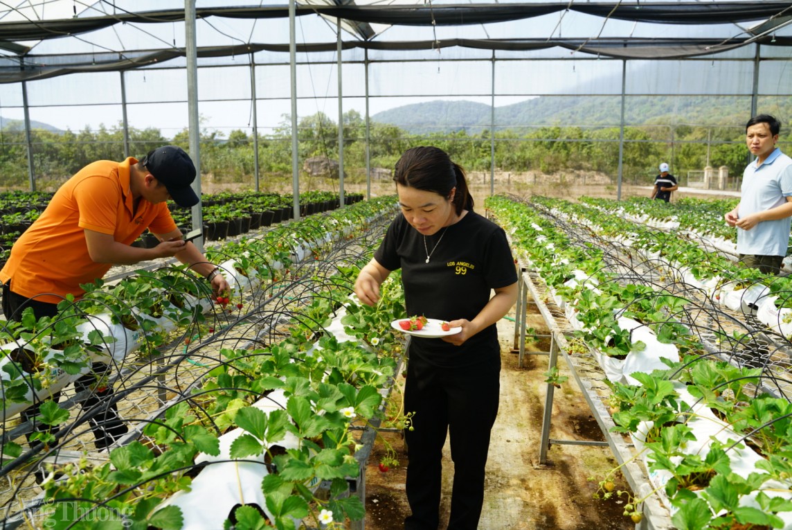 Đỉnh Sa Mù (Quảng Trị)- nơi giao thoa giữa đất và trời