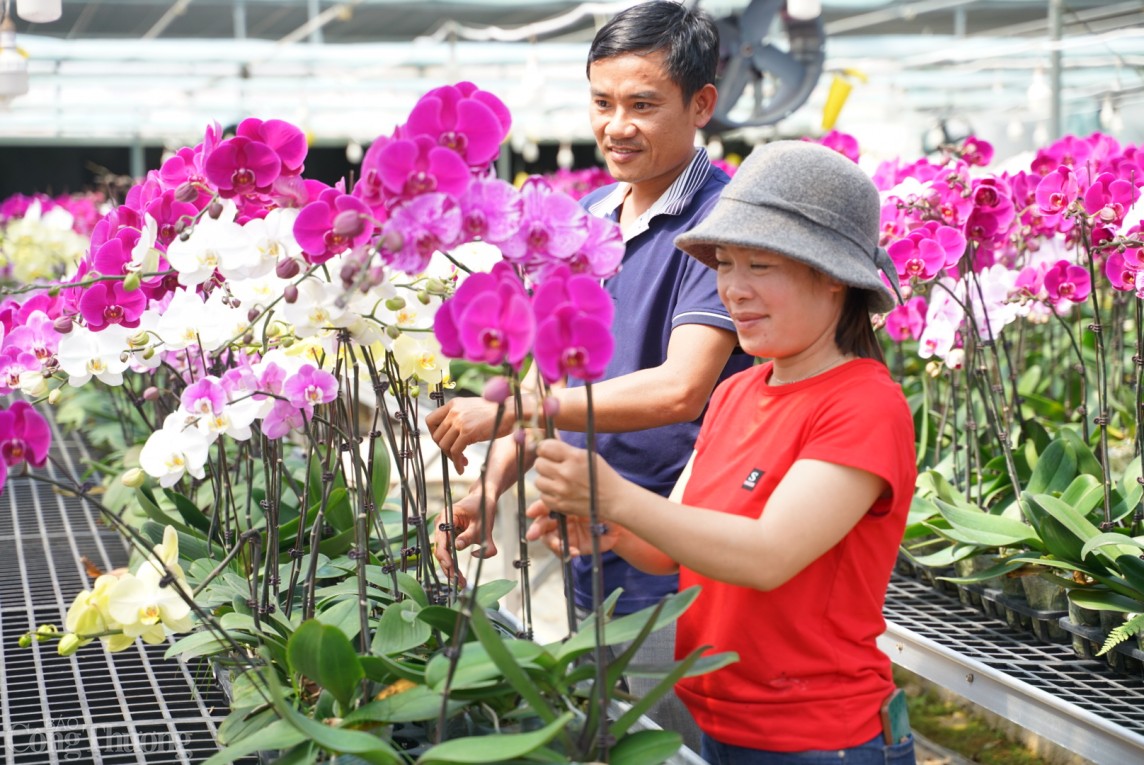 Đỉnh Sa Mù (Quảng Trị)- nơi giao thoa giữa đất và trời