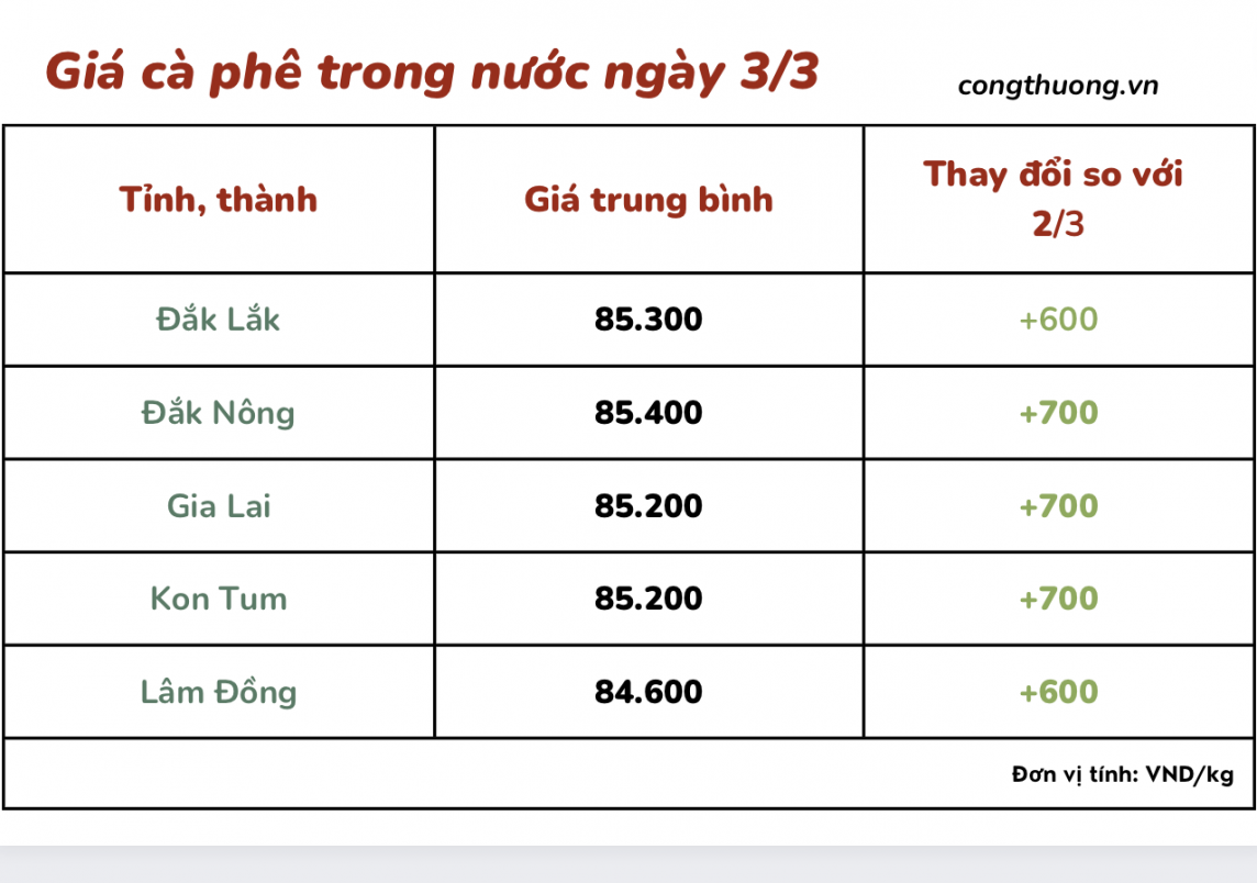 Giá cà phê 3/3, giá cà phê trong nước ngày 3/3/2024