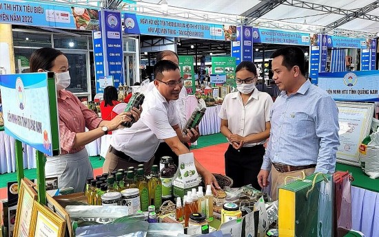 cat giam thu tuc hanh chinh ve hoat dong kinh doanh trong pham vi quan ly cua bo cong thuong