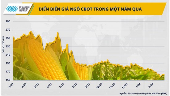 gia ngo tang manh co dang lo ngai