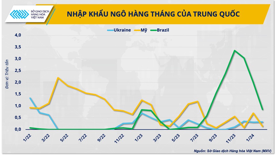 Giá ngô tăng mạnh, có đáng lo ngại?