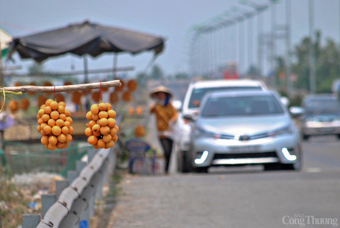 Vĩnh Long: Óng ánh sắc thanh trà đầu vụ - trái cây đặc sản miền Tây