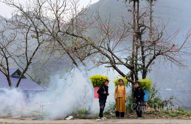 Hà Giang: Bức tranh xuân trên cao nguyên đá Hà Giang: Bức tranh xuân trên cao nguyên đá