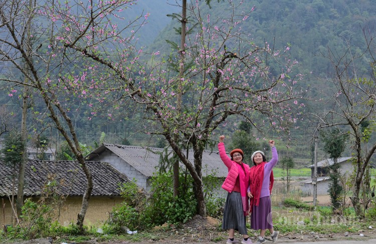 Hà Giang: Bức tranh xuân trên cao nguyên đá Hà Giang: Bức tranh xuân trên cao nguyên đá