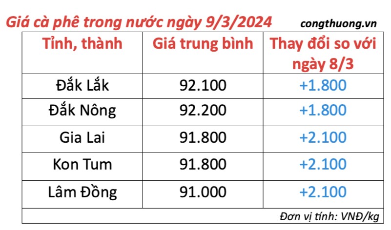 Giá cà phê hôm nay, 9/3/2024: Giá cà phê trong nước tăng 