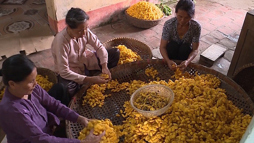 Bài 1: Thực trạng làng nghề truyền thống tại tỉnh Thanh Hóa